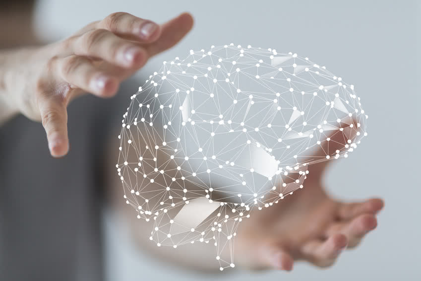 brain network