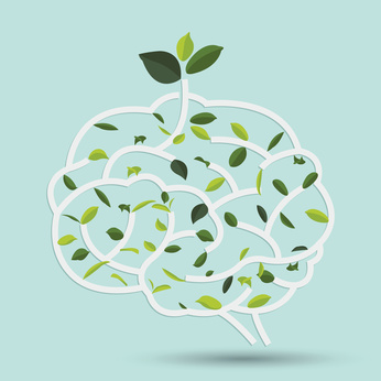 Gedächtnistraining regt der Definition nach die Gesundheit des Gehirns an, dargestellt mit Blättern bewachsenem Gehirn