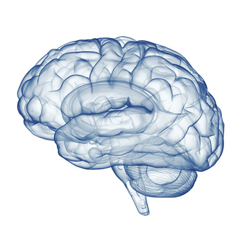 3D render eines Gehirns, eine Kognitive Störung betrifft das Gehirn